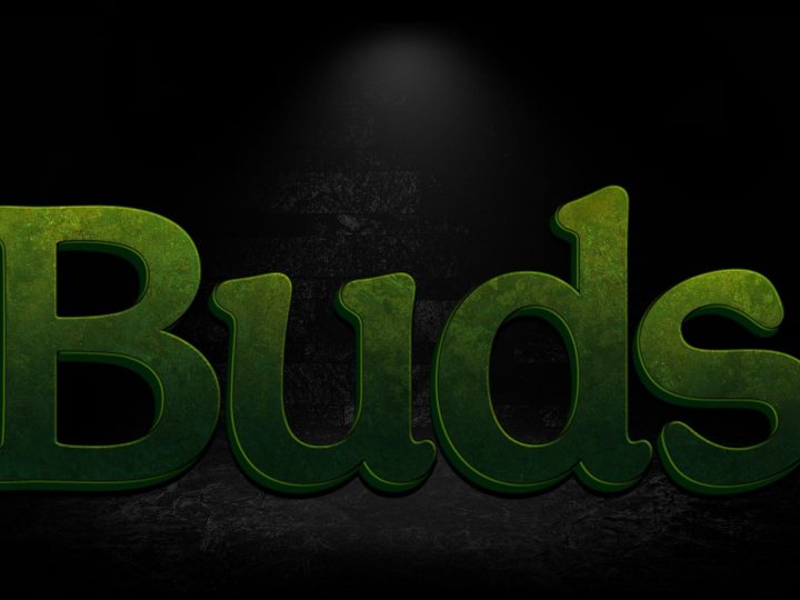 THE TRUTH ABOUT “BUDS (2025)” ON NETFLIX – OFFICIAL CLARIFICATION